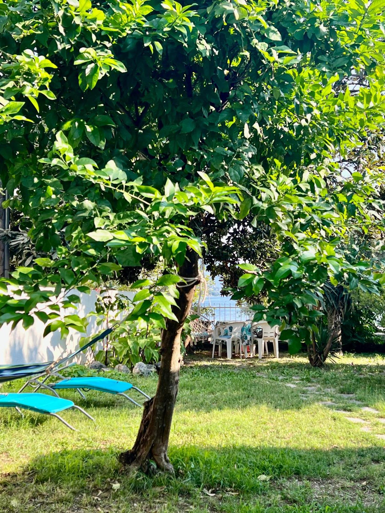 Lemon Tree Villa Котор Екстер'єр фото